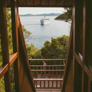 The best cruises for 2026