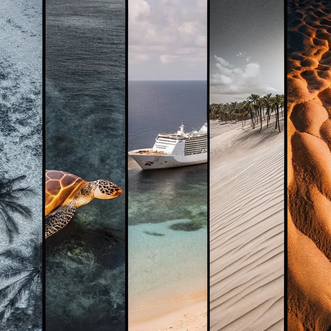 Top Biodiverse Regions Explored by Modern Cruises